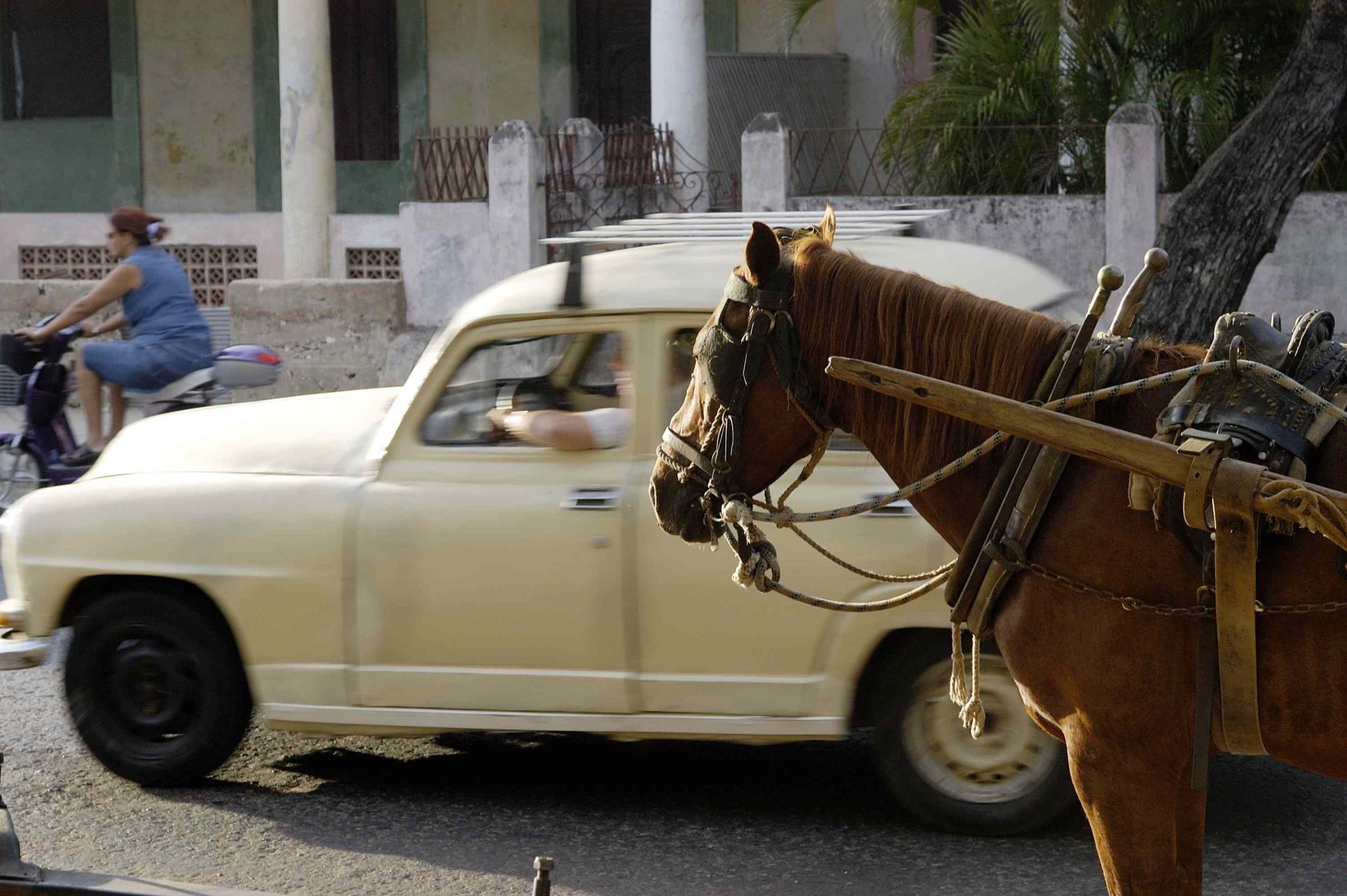 La Habana